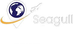 Seagull Travel